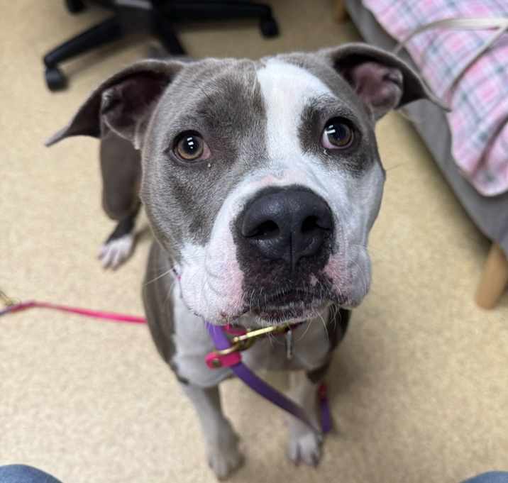 Photo of Hank