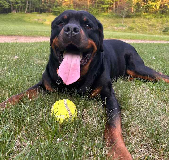 Photo of Dude