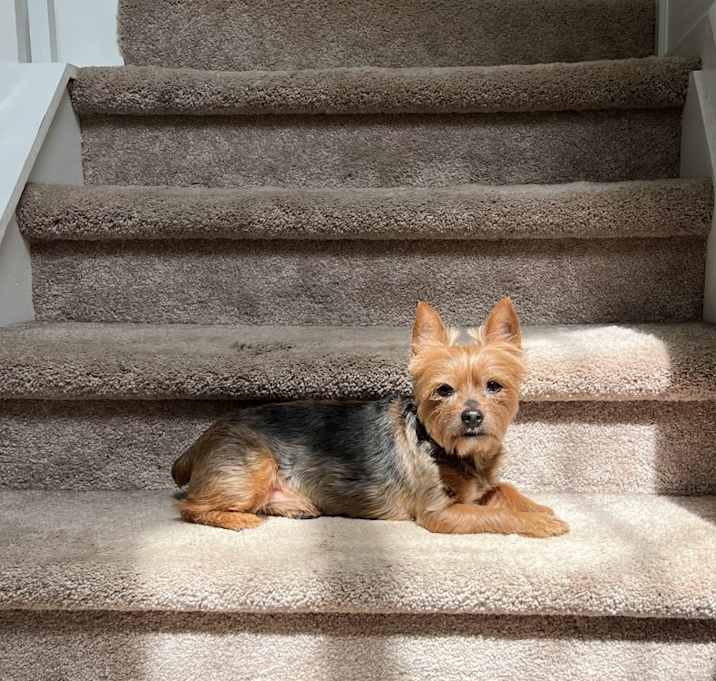 Photo of Maximus