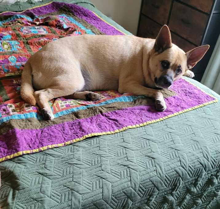 Photo of Missy
