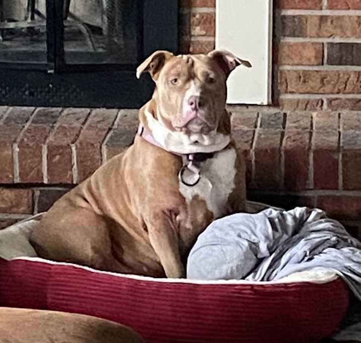 Photo of Duchess