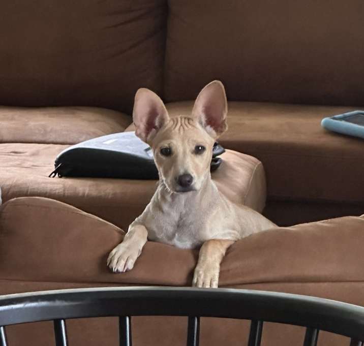 Photo of Mamas