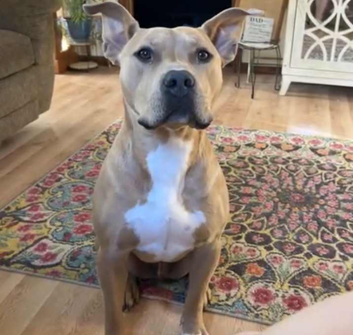 Photo of Fin