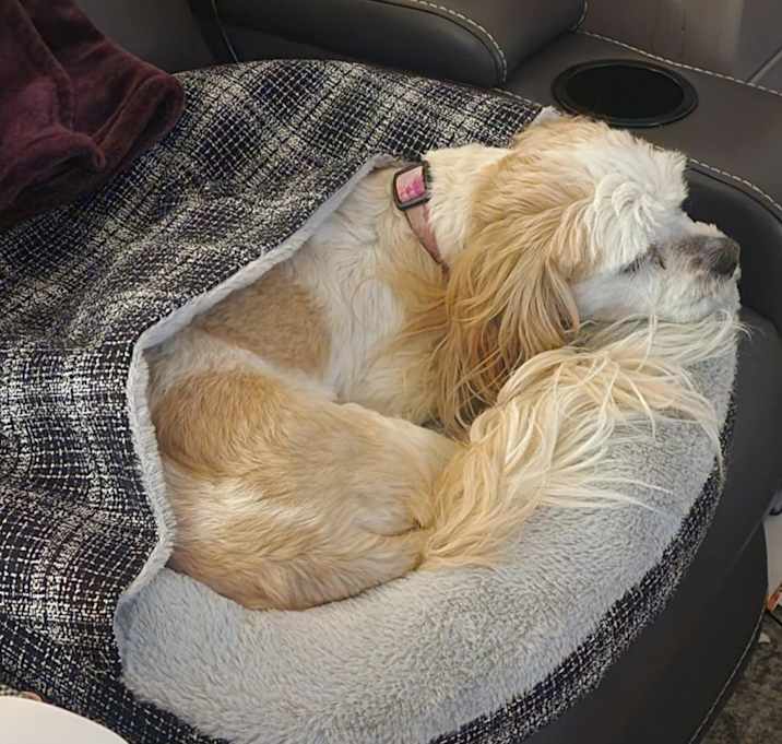 Photo of Lizzy