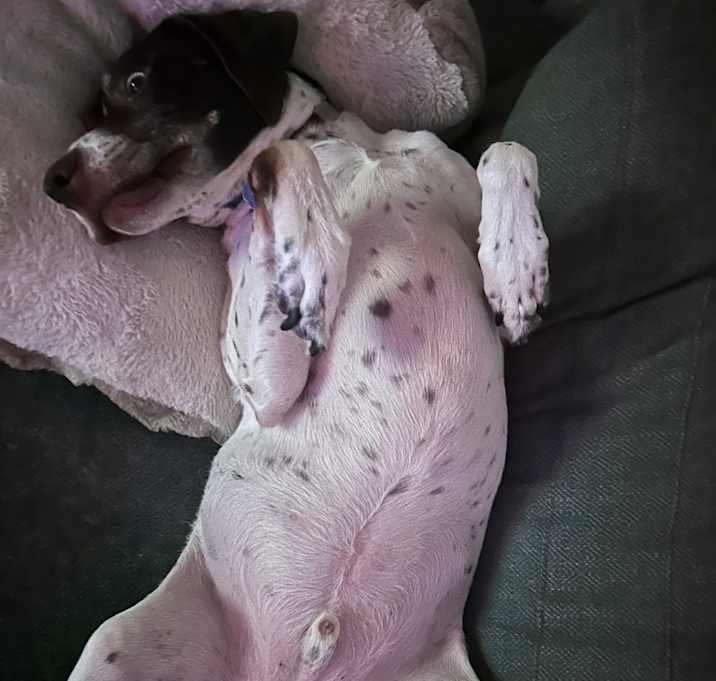 Photo of Charlie