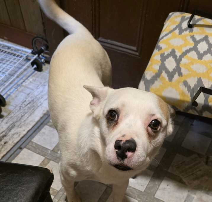 Photo of Bolt