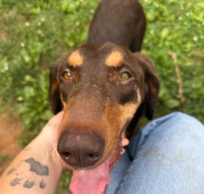Photo of Sawyer