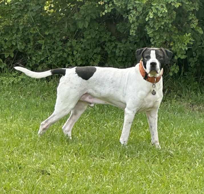 Photo of Monty