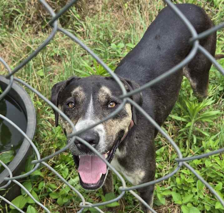 Photo of Buddy
