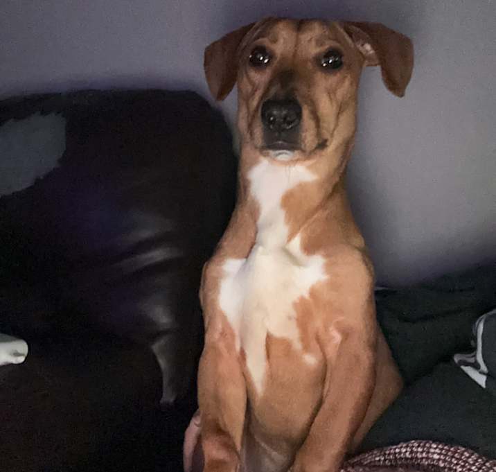 Photo of Gus