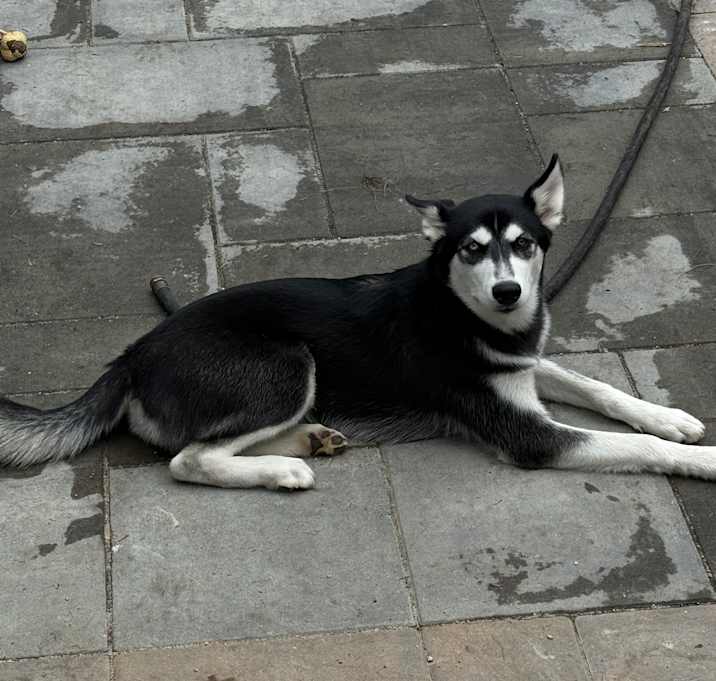Photo of Zeus