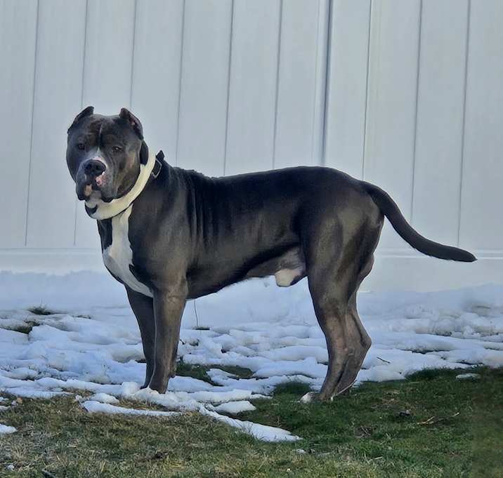 Photo of Kobe