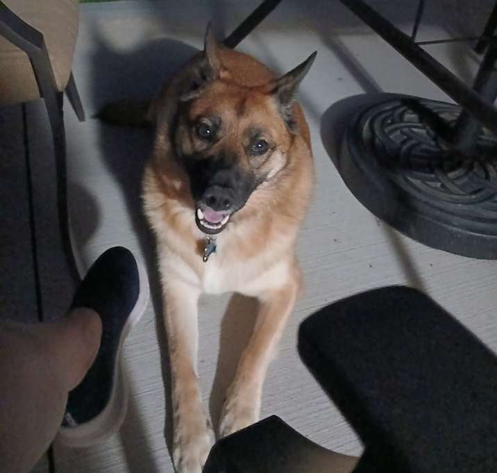 Photo of Daisy