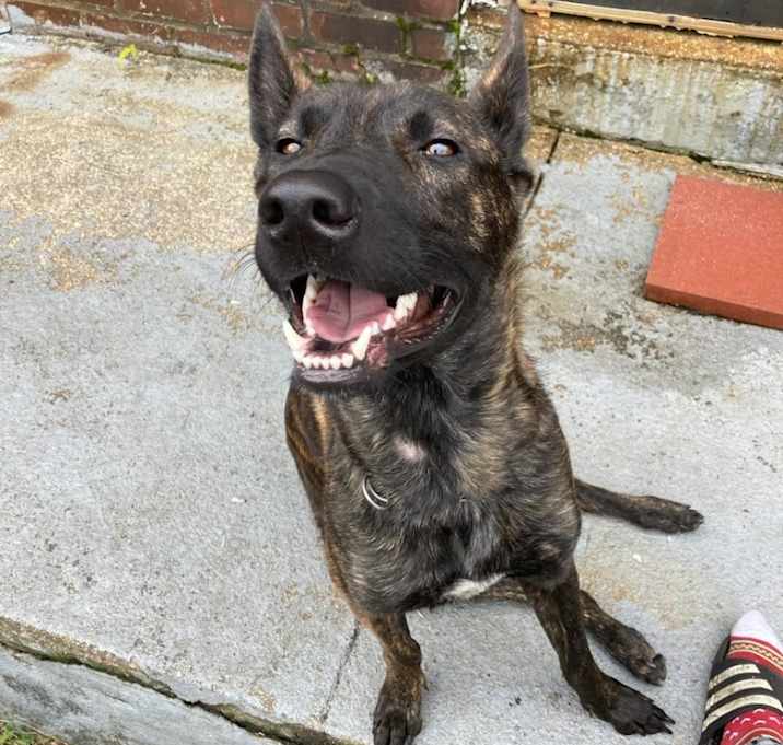 Photo of Molly
