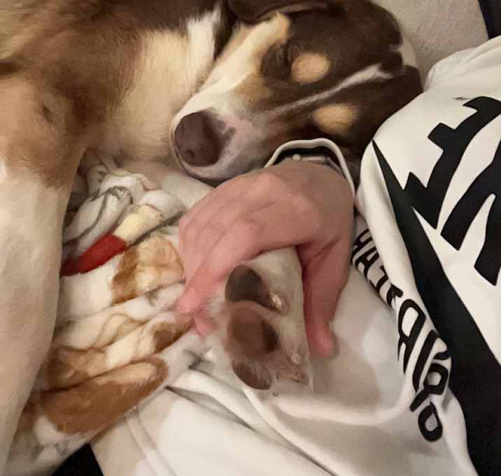 Photo of Lily