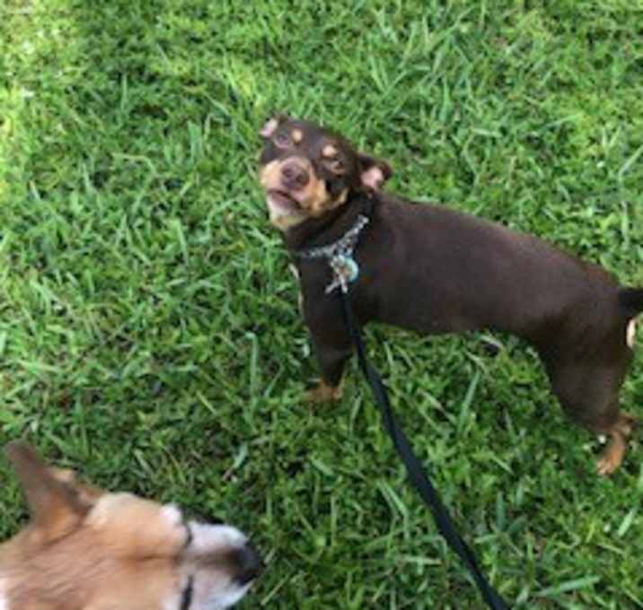 Photo of Oliver