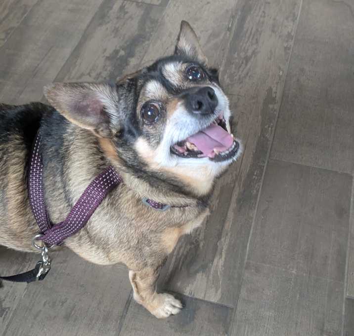 Photo of Maxine