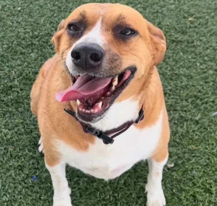 Photo of Oakley