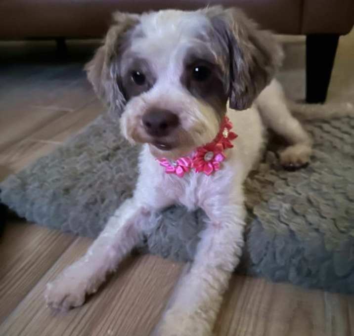 Photo of Hazel
