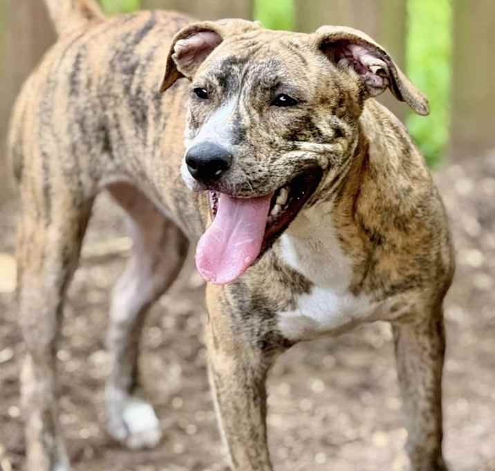 Photo of Boo Radley