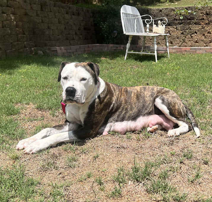 Photo of Molly