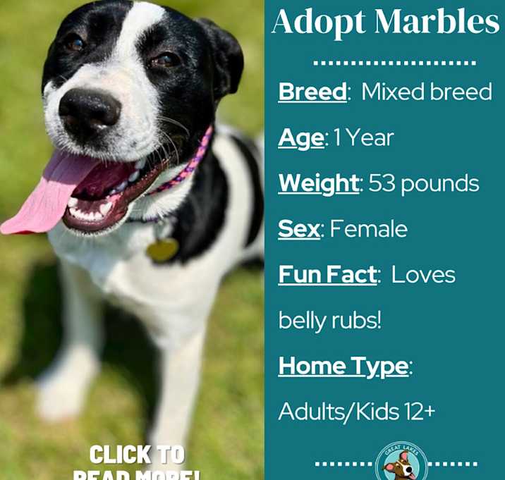 Photo of Marbles (Humidity)