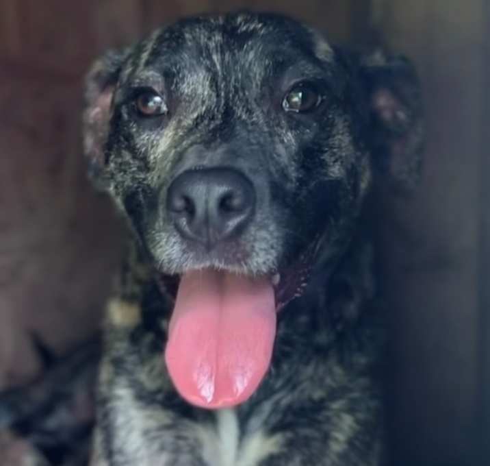 Photo of Eddie