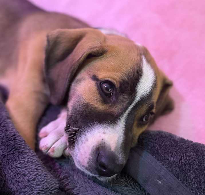 Photo of Zeke