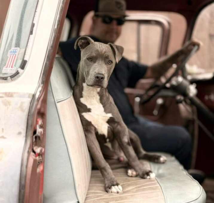 Photo of Rocky