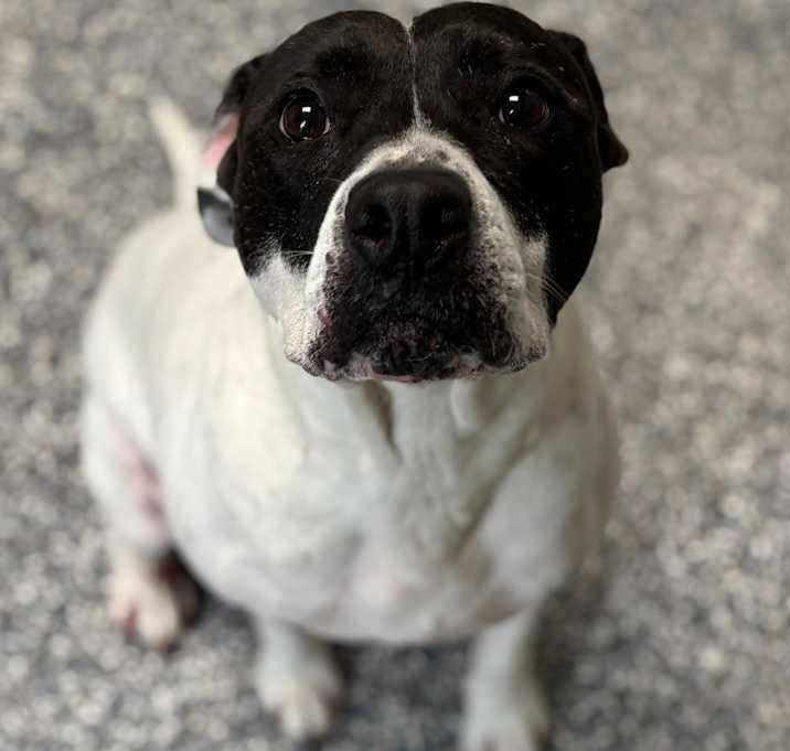 Photo of Sprinkles