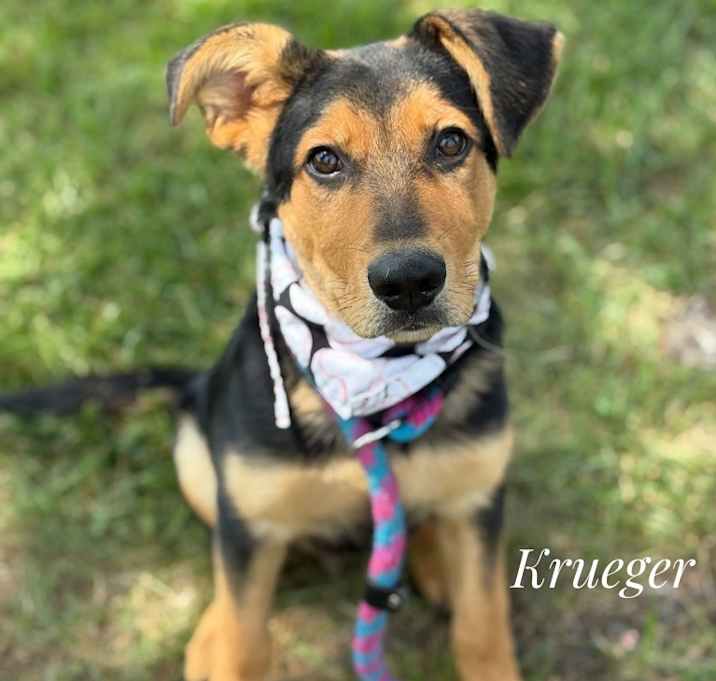 Photo of Krueger