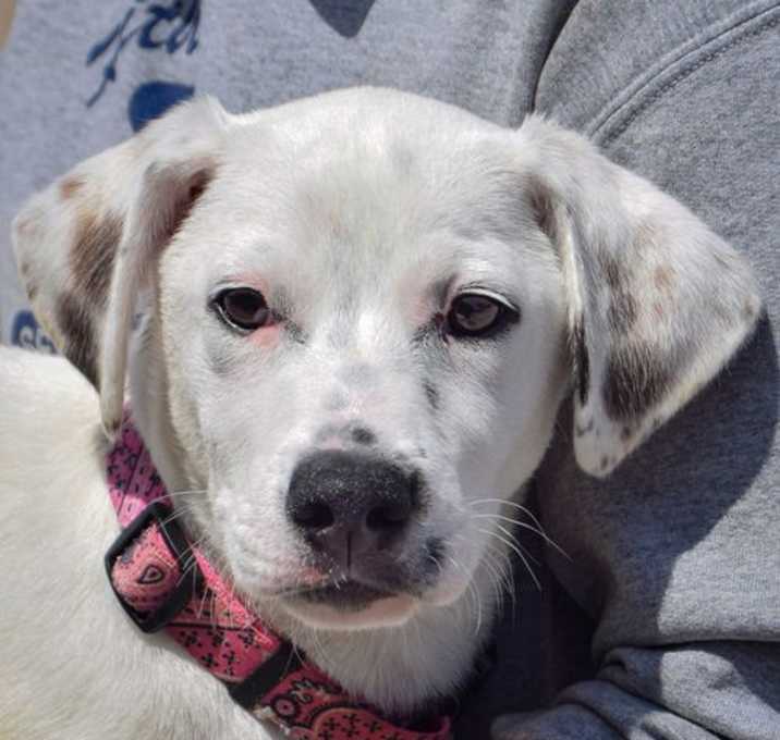 Photo of Lucky