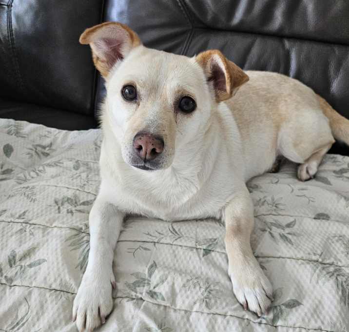 Photo of Victor