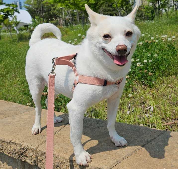 Photo of Binnie