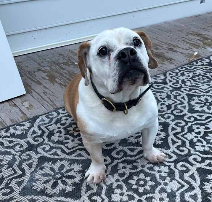 Photo of Emma