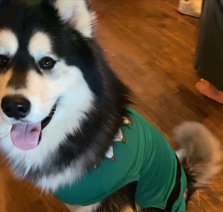 Photo of Sitka