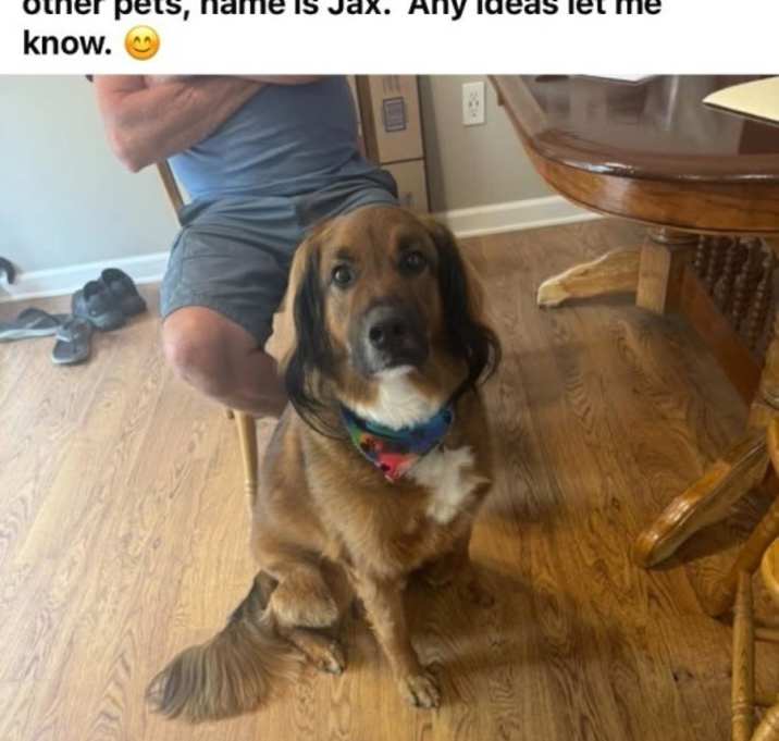Photo of Jax