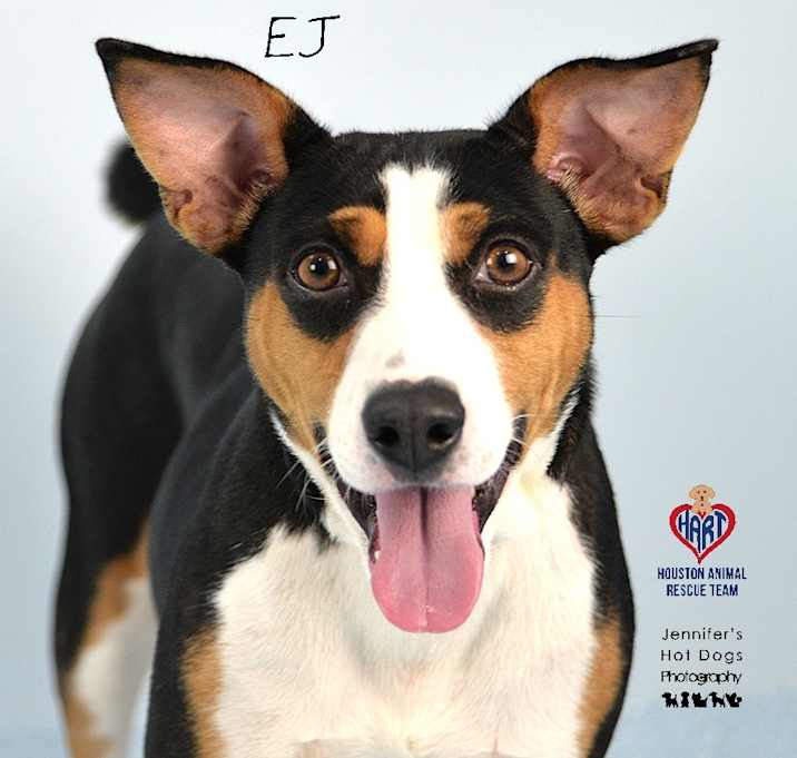 Photo of EJ