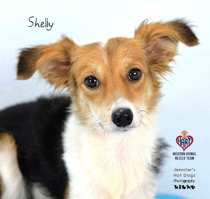 Photo of Shelly