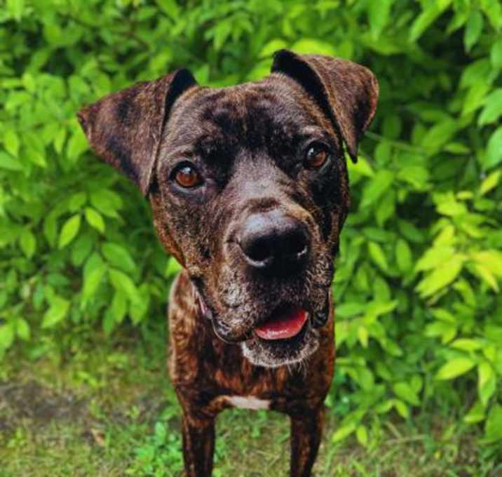 Photo of Maisy