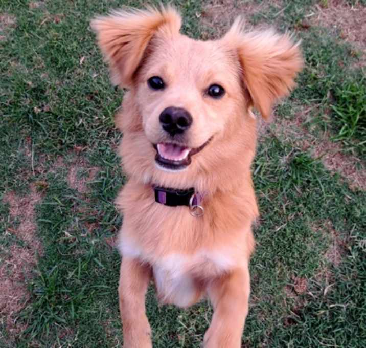 Photo of Budsy