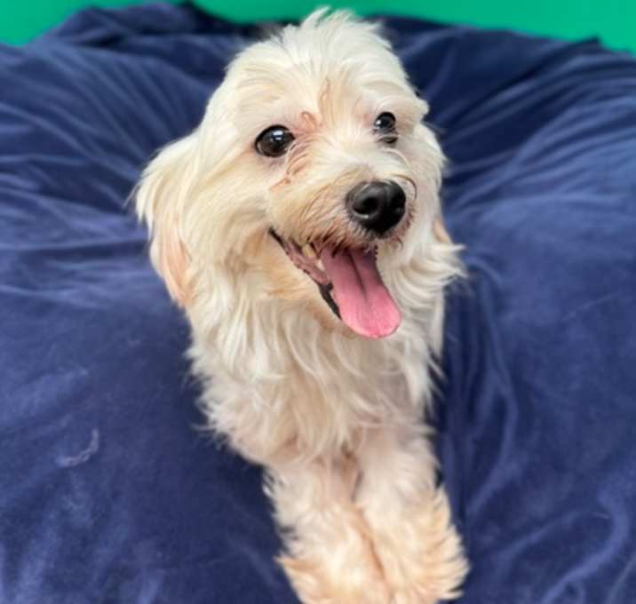 Photo of Molly