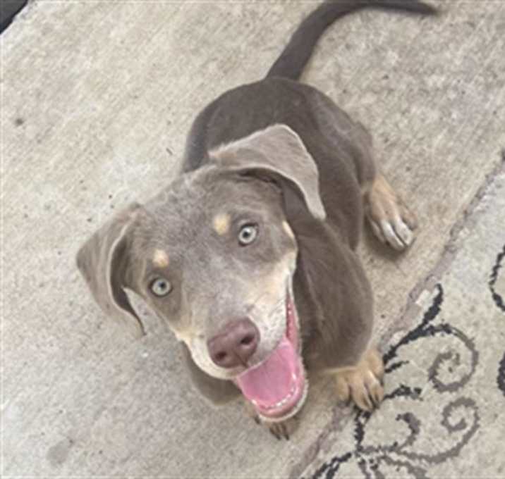 Photo of FIONA