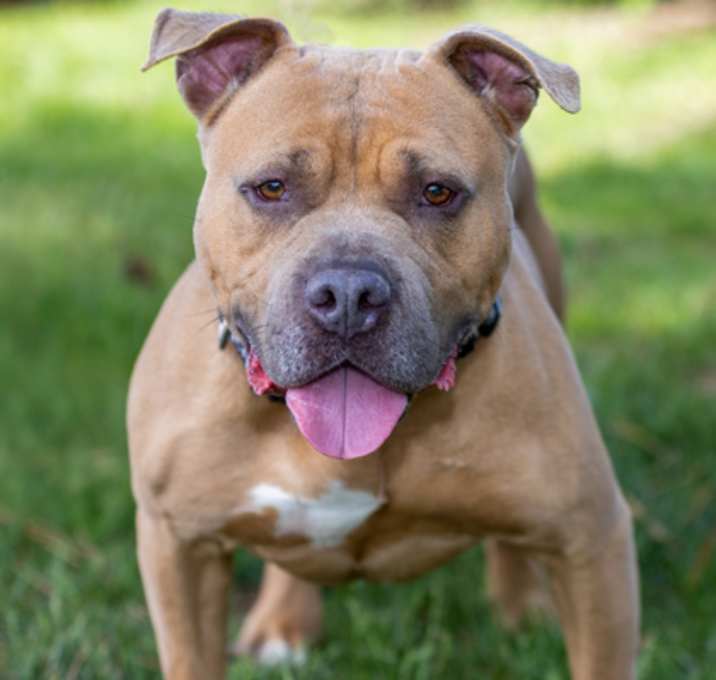 Photo of Kirko