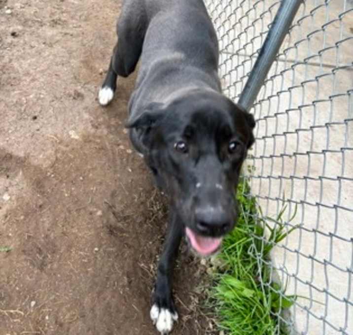 Photo of Roxie
