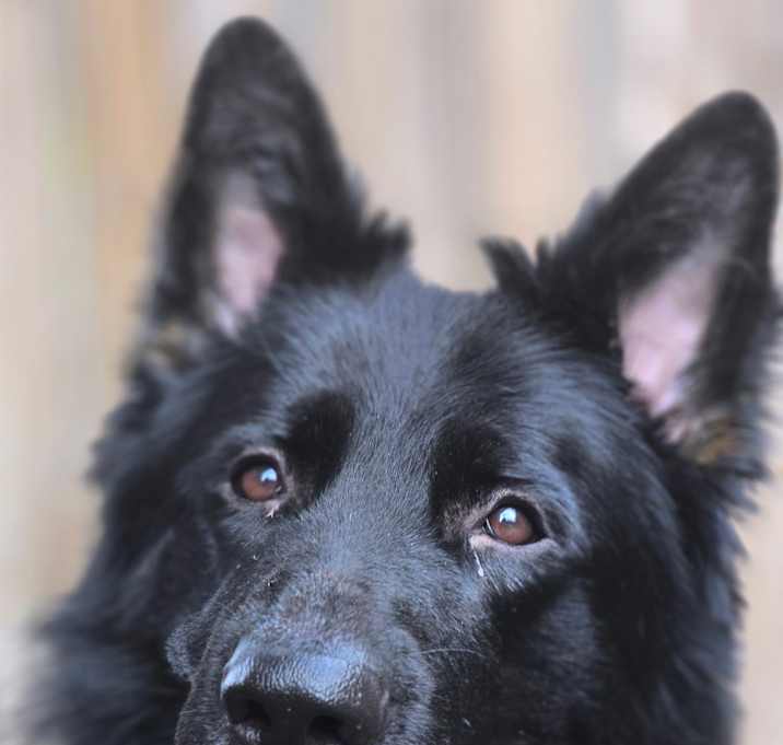Photo of Walter