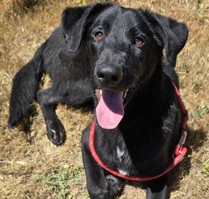 Photo of Finn