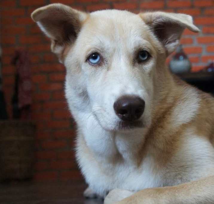 Photo of Cheezee