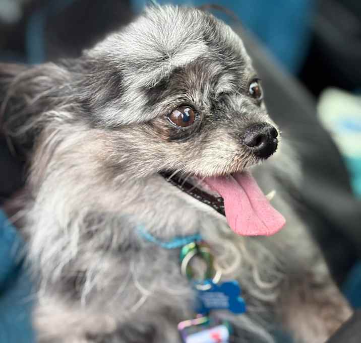 Photo of Chianti