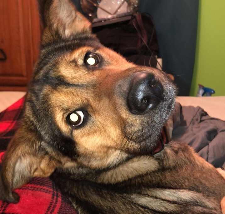 Photo of Atlas